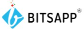 Bitsapp – IT Solutions & Technologies